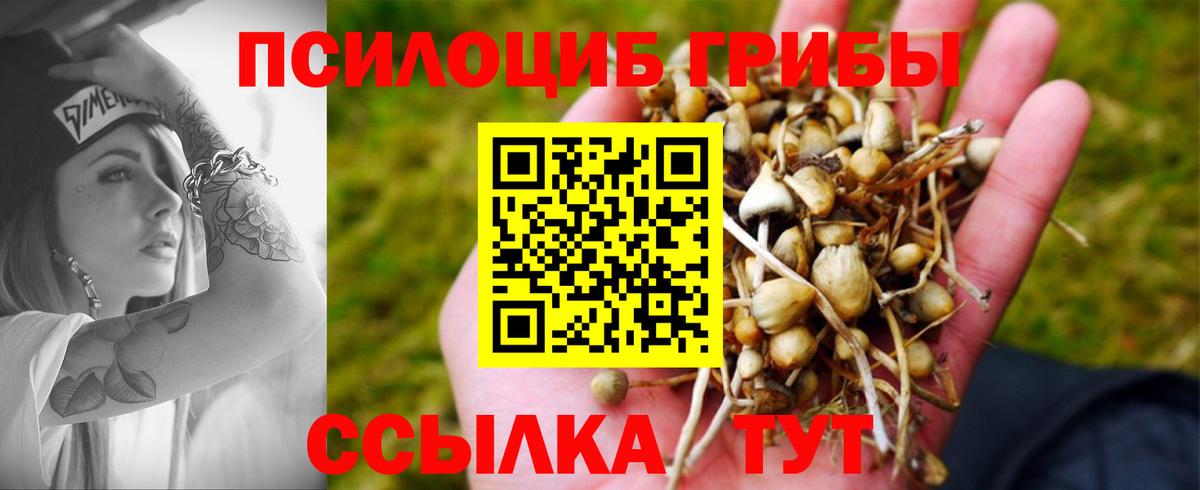 Галлюциногенные грибы ЛСД  Псилоцибиновые грибы Magic Shrooms  Пугачёв  Вход с VPN 
