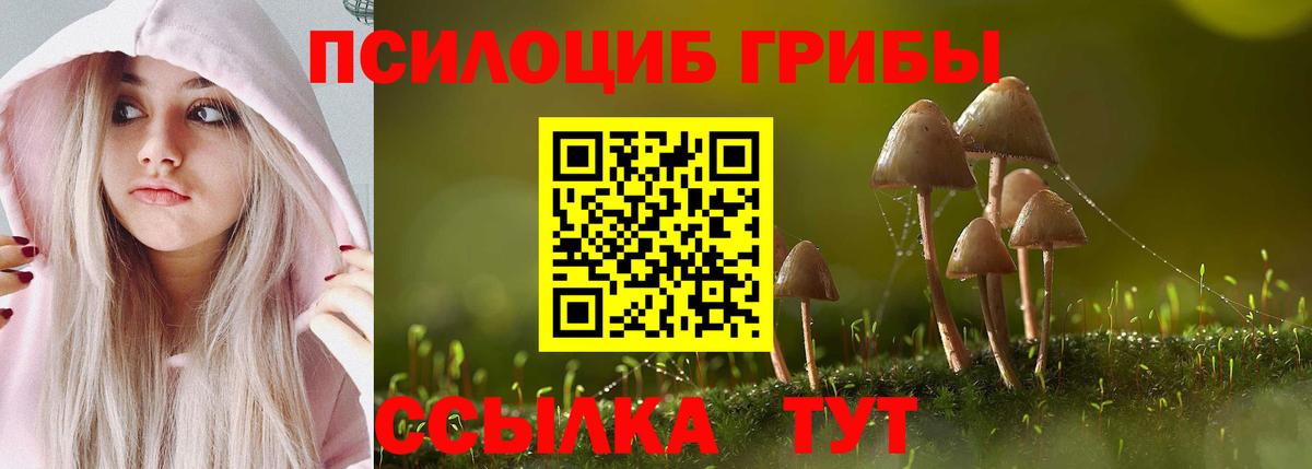 Галлюциногенные грибы Psilocybe Пугачёв